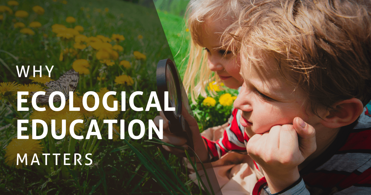 Why Ecological Education Matters For The Future